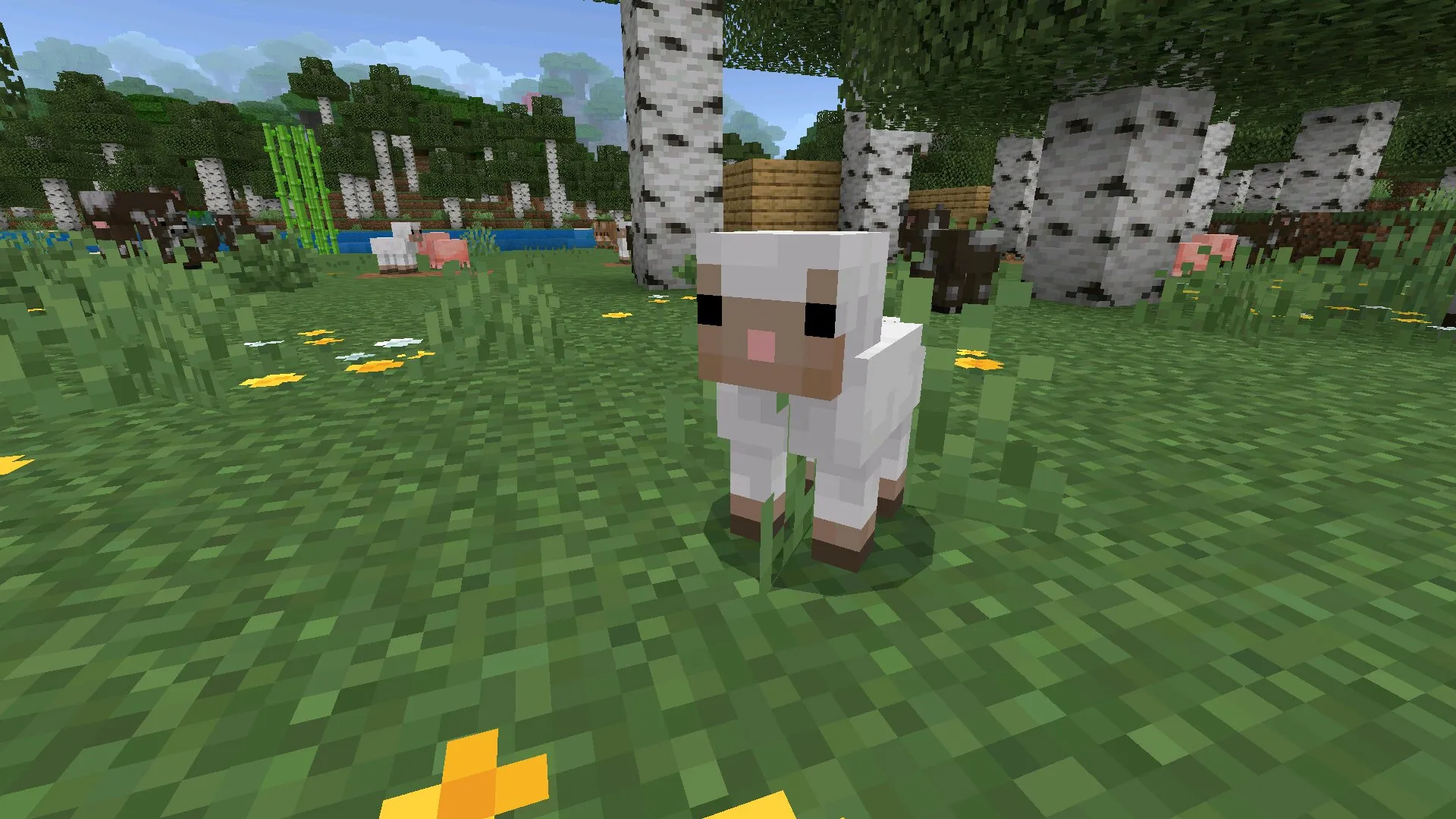 Download Minecraft PE 26.10 (1.26.10) APK latest version Download Minecraft PE 26.10 (1.26.10) APK latest version