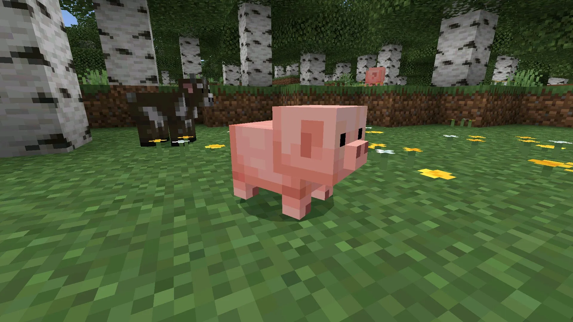 Download Minecraft PE 26.10 (1.26.10) APK latest version Download Minecraft PE 26.10 (1.26.10) APK latest version