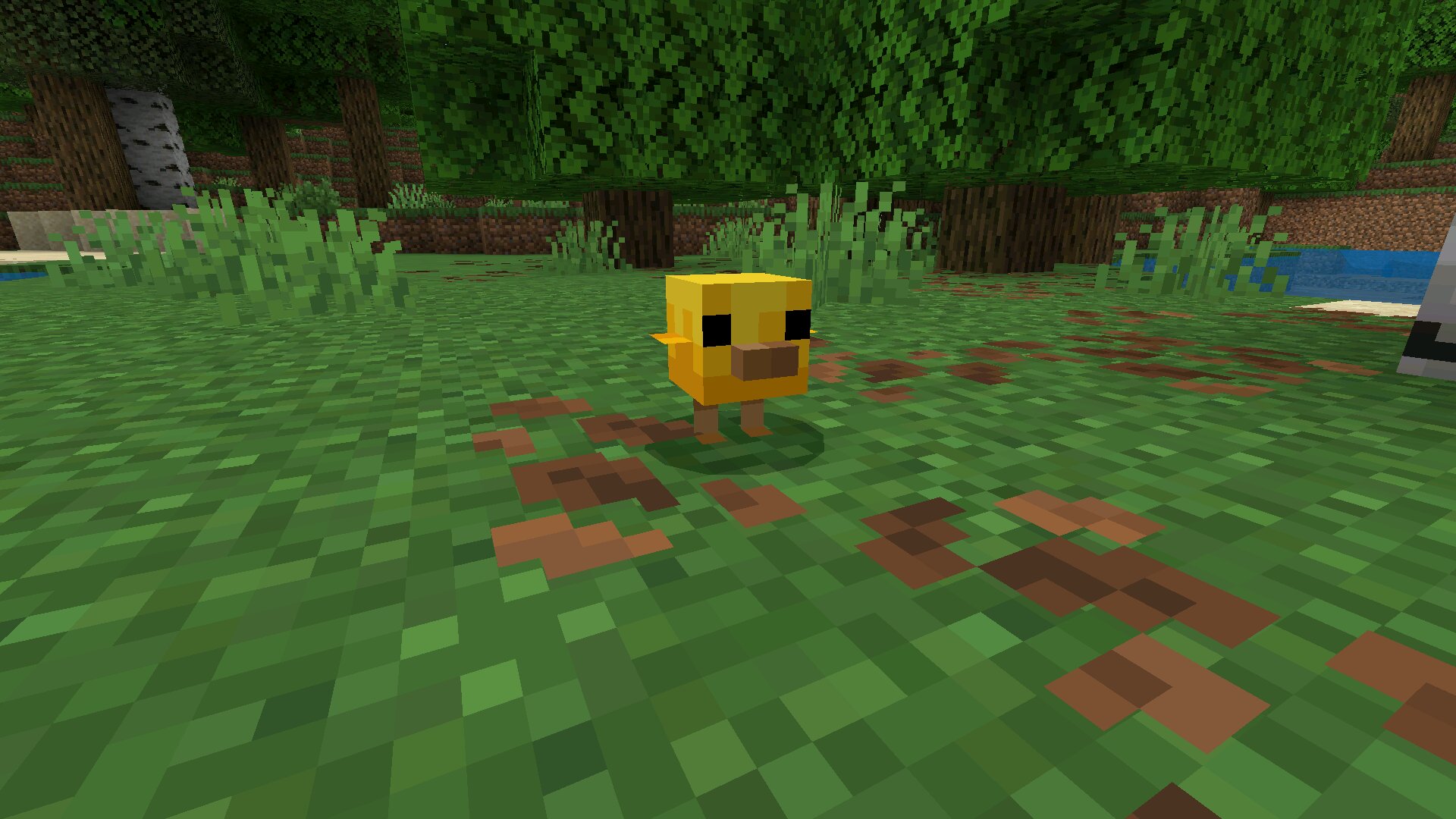 Download Minecraft PE 26.10 (1.26.10) APK latest version Download Minecraft PE 26.10 (1.26.10) APK latest version