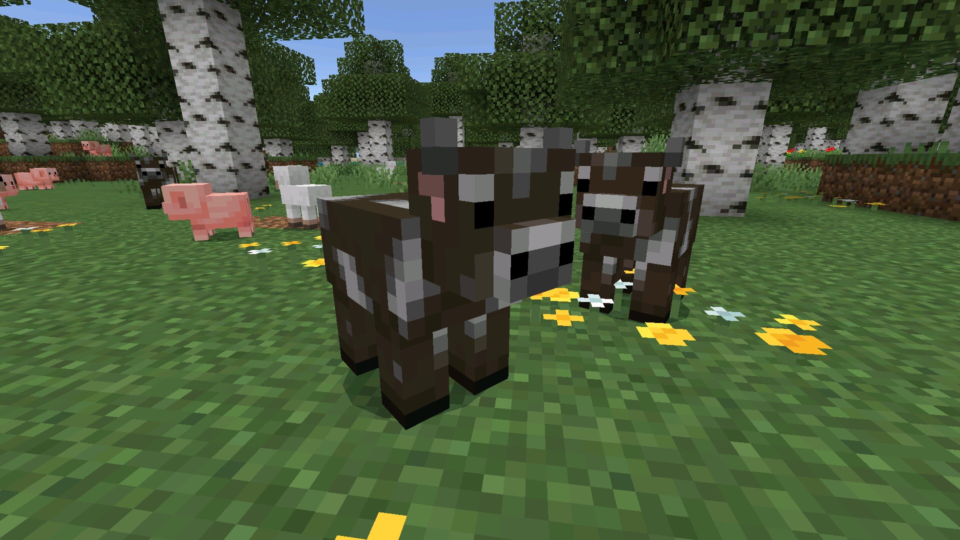 Download Minecraft PE 26.10 (1.26.10) APK latest version Download Minecraft PE 26.10 (1.26.10) APK latest version